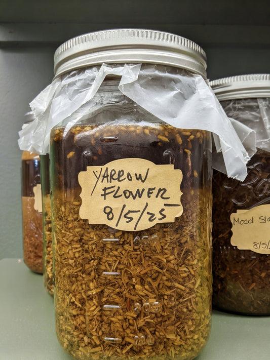 Yarrow Flower Tincture
